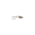 10 contacts a griffe males pour connecteur type he 15 coamp926894-1 ECLATS DESTOCKAGE