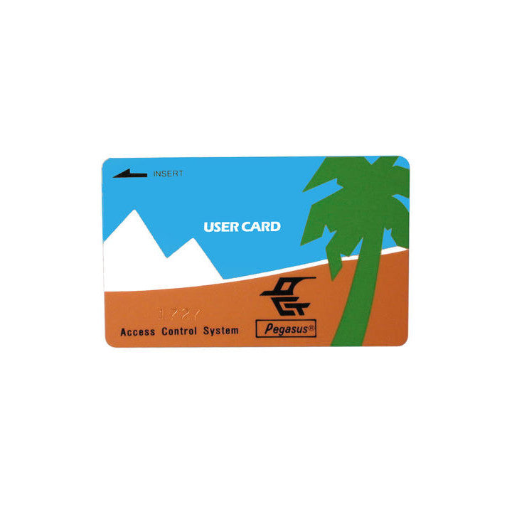 Carte magnetique vierge pour lecteur de carte magnetique lcm (cmp ok) cartes magnetiques ECLATS DESTOCKAGE
