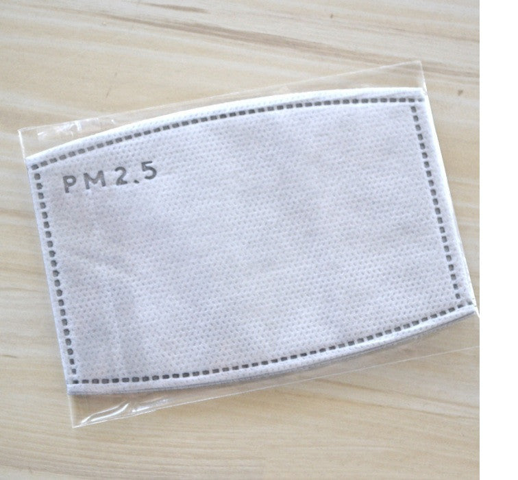 25 filtre protection DTT885 5 couches remplaçables PM2.5 charbon actif Anti-brume pour masques bouche lavable anti pollution ECLATS DESTOCKAGE
