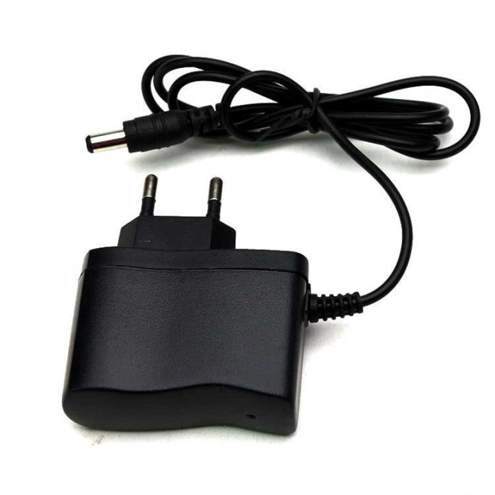 Chargeur 110v 220v 8.4v 10v 500mah 0.5a 5.5mm x 2.1mm pour batterie rechargable 9v detecteur DFPV1 ECLATS DESTOCKAGE
