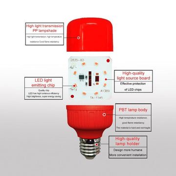 5 Ampoule led e27 220v 5w lanterne rouge vacance festive economie d energie Lampe de noel ECLATS DESTOCKAGE