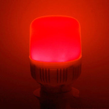 Ampoule led e27 220v 5w lanterne rouge vacance festive economie d energie Lampe de noel ECLATS DESTOCKAGE