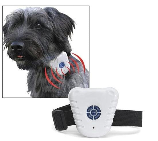 Collier anti aboiement ultrason repousse chien ultrasonique éducation 9921 - ECLATS DESTOCKAGE