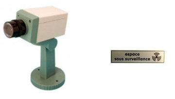 Lot de 1 camera video factice + 1 etiquette ets securité fausse dissuasion cachee motorisee voyant ECLATS DESTOCKAGE