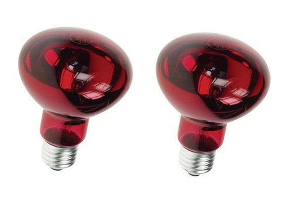 Lot de 2 spots rouge disco e27 60w r80 220v lamp60r2 lumiere ampoule projecteur eclairage ECLATS DESTOCKAGE