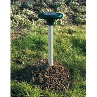Repousse taupes solaire chasse ultrason dispositif chasse campagnol ECLATS DESTOCKAGE