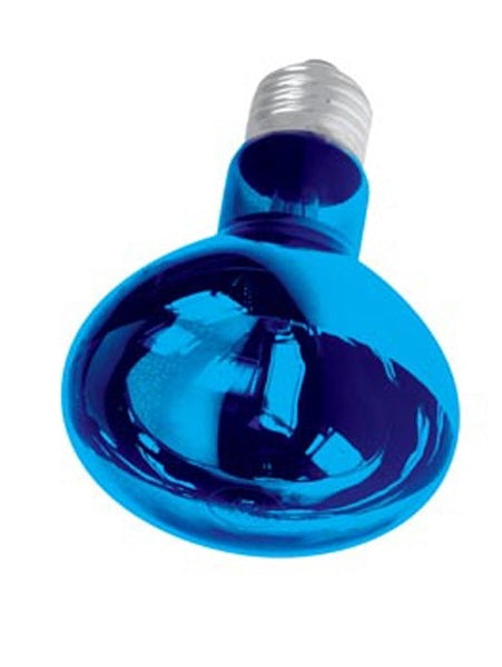 Spot 60w bleu couleur disco e27 r80 220v lamp60b2 lampe lumiere ampoule ECLATS DESTOCKAGE