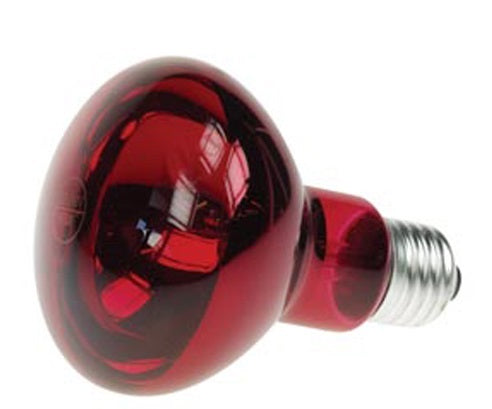 Spot 60w couleur rouge disco e27 r80 220v lamp60r2 lampe lumiere ampoule projecteur eclairage ECLATS DESTOCKAGE