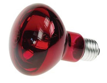 Spot 60w couleur rouge e27 r80 220v disco lampe lumiere ampoule projecteur eclairage lamp60r2 ECLATS DESTOCKAGE