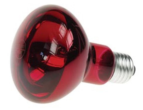 Spot 60w rouge e27 r80 220v disco lampe lumiere ampoule projecteur eclairage lamp60r2 ECLATS DESTOCKAGE