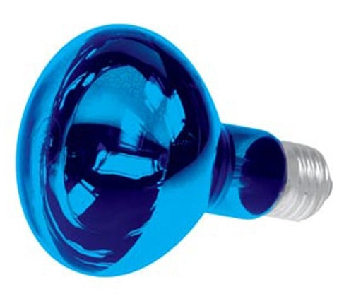 Spot ampoule couleur bleu e27 60w r80 220v disco lampe lumiere lamp60b2 projecteur eclairage ECLATS DESTOCKAGE