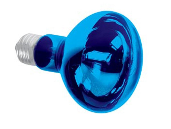 Spot couleur bleu disco e27 60w r80 220v lamp60b2 lampe lumiere ampoule ECLATS DESTOCKAGE