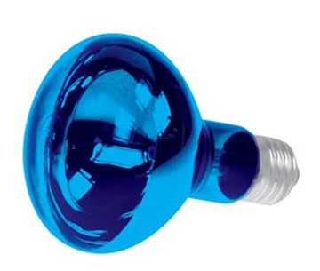 Spot couleur bleu e27 disco 60w r80 220v lamp60b2 lampe lumiere ampoule projecteur eclairage ECLATS DESTOCKAGE