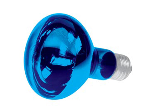 Spot couleur disco bleu e27 40w r63 220v lampe lumiere ampoule projecteur eclairage ECLATS DESTOCKAGE