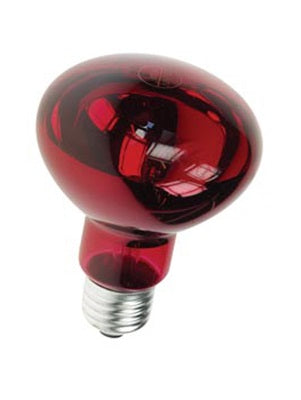 Spot couleur rouge disco e27 60w r80 220v lamp60r2 lampe lumiere ampoule projecteur eclairage ECLATS DESTOCKAGE