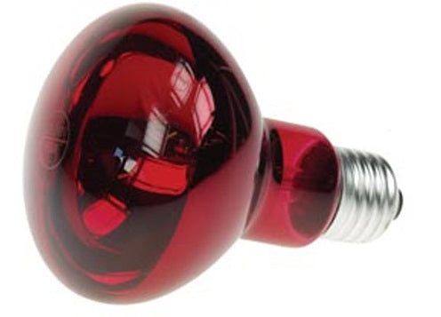 Spot rouge ampoule 60w e27 r80 220v disco lampe lumiere projecteur eclairage lamp60r2 ECLATS DESTOCKAGE