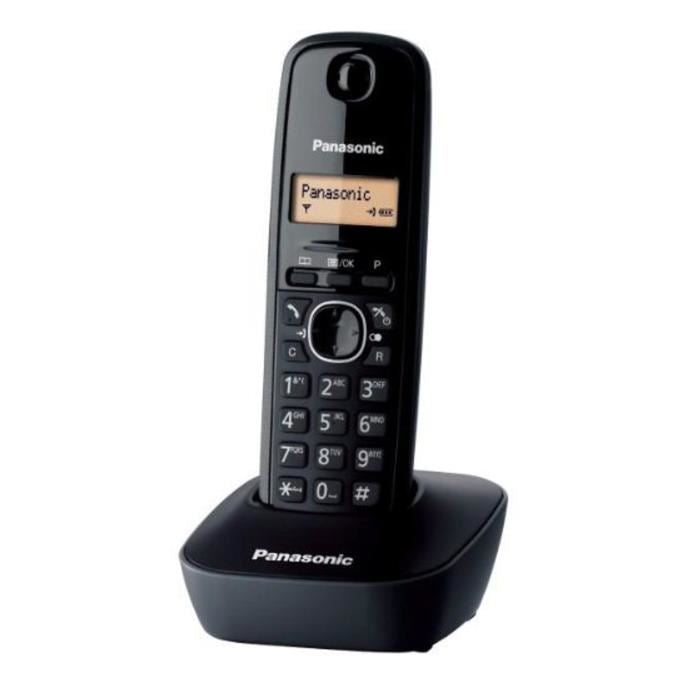 Telephone sans fil Panasonic KX-TG1611FRH Solo Sans Répondeur répertoire 50 noms et numéros ECLATS DESTOCKAGE