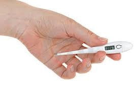 Thermometre pour prendre temperature digital rectale fievre medical electronique blanc ECLATS DESTOCKAGE